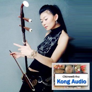 Скачать Kong Audio ChineeErhu VSTi бесплатно