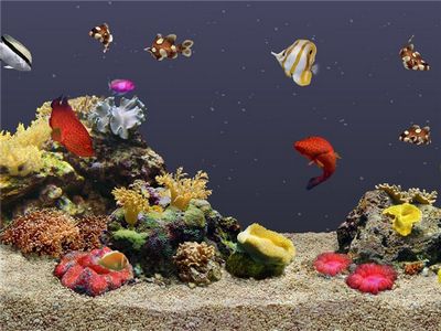 Скачать Реалистичный аквариум AquaReal 2 v1.03 бесплатно