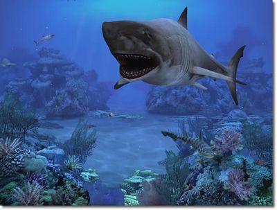Скачать Sharks, Terrors of the Deep 2.0 3D Screen Savers / Акулы, Терроры Морских Глубин 2.0 бесплатно