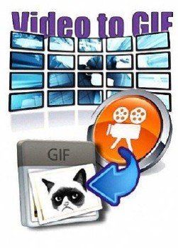 Скачать Video to GIF Converter 4.3 x32, x64 [2013, RUS] RePack бесплатно