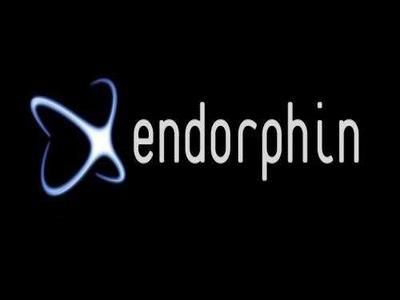 endorphin learning edition download