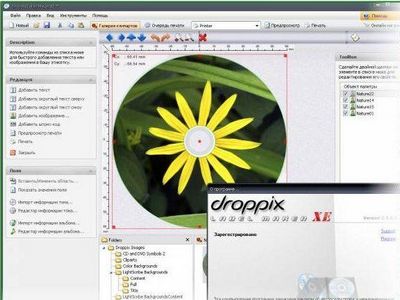 Скачать Droppix Label Maker XE 2.9.8 Rus бесплатно